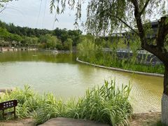 -鹦鹉寺公园