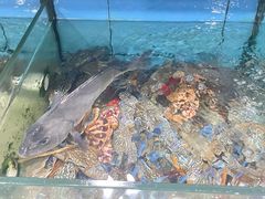 -考记泥焗鸡农庄·海鲜(北洛秘境店)