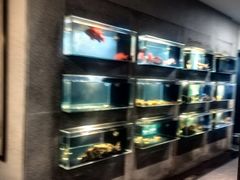 -明湖楼·经典鲁菜山东海鲜(大明湖店)