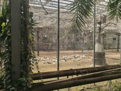 -呀路古热带植物园