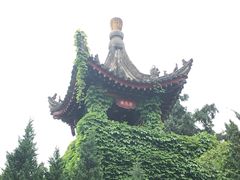 -华清宫景区