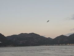 -北岐滩涂