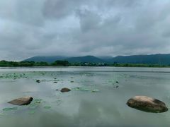 -长田漾湿地公园