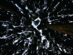 -山王坪喀斯特国家生态公园