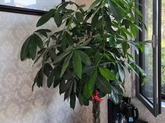 -鸿福推拿养生馆(砬子山店)