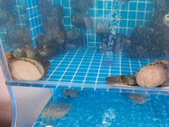 -聚德福海鲜家常菜(刘庄店)