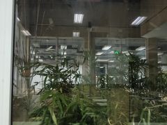 -同济大学-北苑食堂