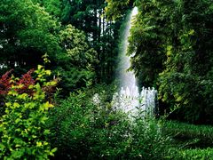 -上海共青森林公园