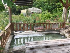 -南紀白浜 浜千鳥の湯 海舟