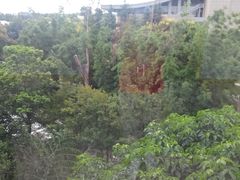-昆明洲际酒店