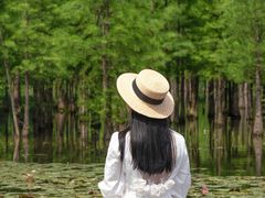 -白鹭湾湿地公园