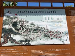 -北京鹫峰国家森林公园