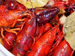 -上海明天广场JW万豪酒店