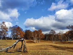 -张北坝上草原
