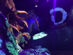 -迪拜帆船酒店海底餐厅