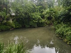 -水绘园
