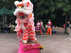 -九龙公园