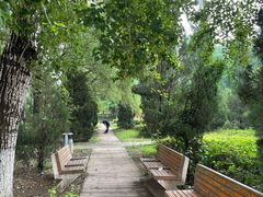 -长白岛森林公园