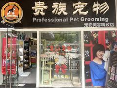 -贵族宠物·宠物美容(三阳路店)