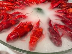 经典冰镇龙虾-红盔甲·小龙虾(天钥桥店)