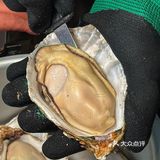 曲江！新开的！好好吃…