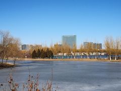 -大兴滨河森林公园