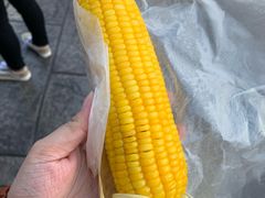-哈利波特魔法世界