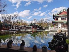 -MAP CHA普洱茶馆(翠湖店)