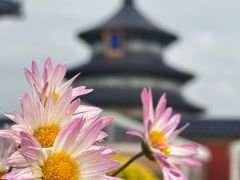 -天坛公园
