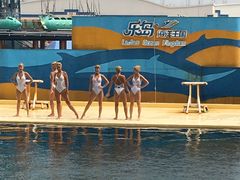 -秦皇岛乐岛海洋王国