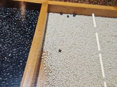 -潮十三潮汕砂锅粥(高新四路大都荟店)