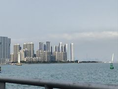 -招商蛇口邮轮母港(观光客运)