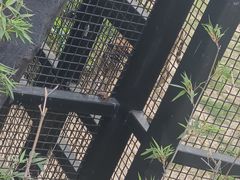 -武汉动物园