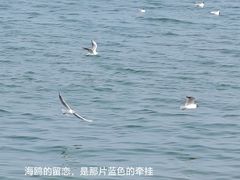 -兴城海滨风景区