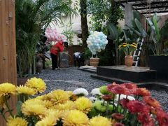 -云里小坐·小院里·团建·宴请·下午茶(三圣乡店)