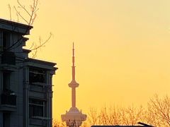 -紫峰大厦