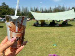 -上海滨江森林公园