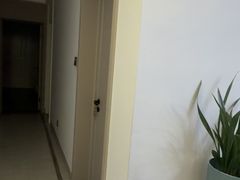 -点石家装(新化店)