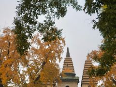 -北京石刻艺术博物馆(五塔寺)