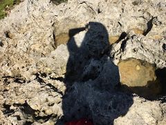 -鹅銮鼻公园