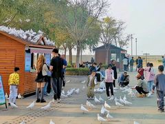 -天津妈祖文化园