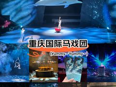 -重庆国际马戏城