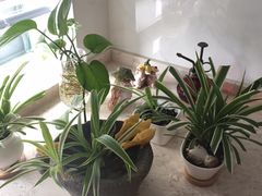 -新湖明珠城
