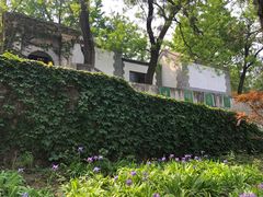 -北京鹫峰国家森林公园