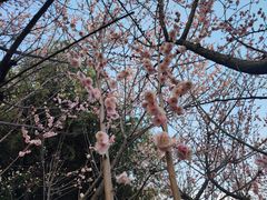 -白塘生态植物园