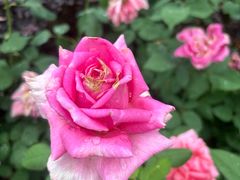 -常州购物中心(天宁区)