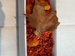-慈云斋·24节气素食