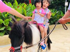 -渔岛海洋度假区