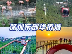 -东部华侨城