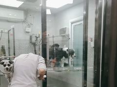 -宠物家(长阳店)